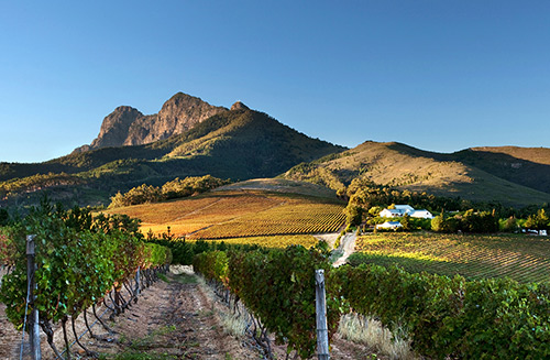 Marianne Wine Estate South Africa