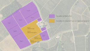 Carte du vignoble Destieux